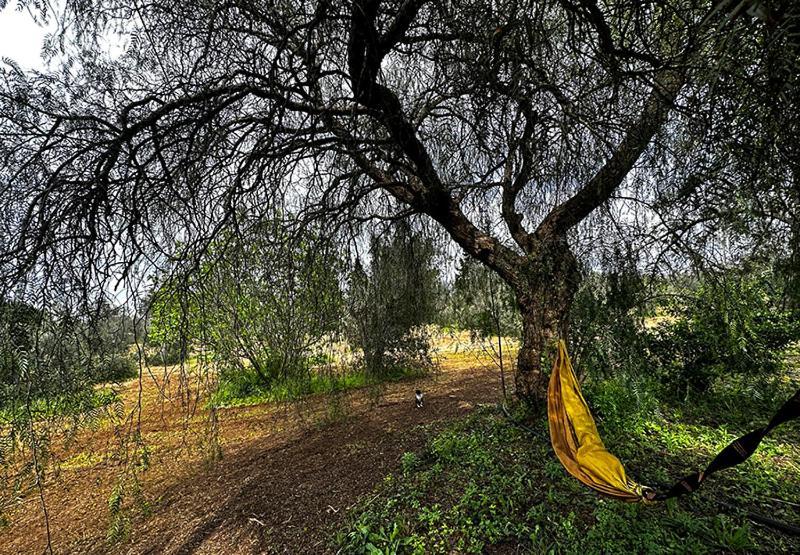 Salento Home Farm Bagnolo del Salento Exterior foto